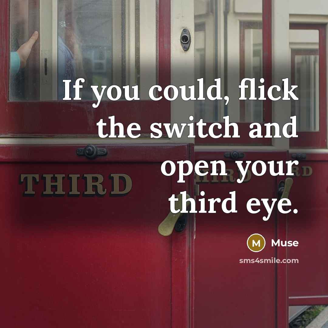 “If you could, flick the switch and open your third eye.” quote by Muse