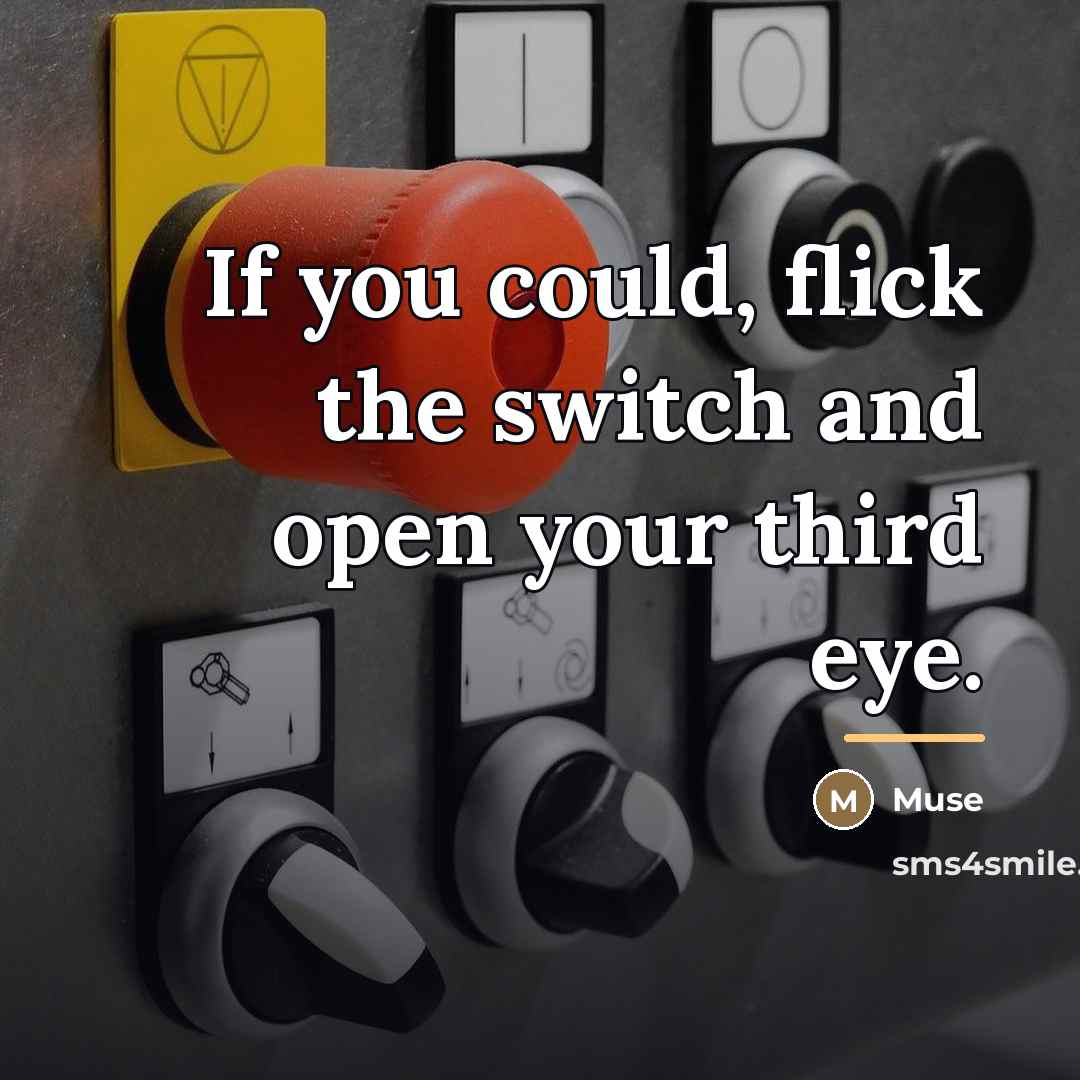 “If you could, flick the switch and open your third…” quote by Muse