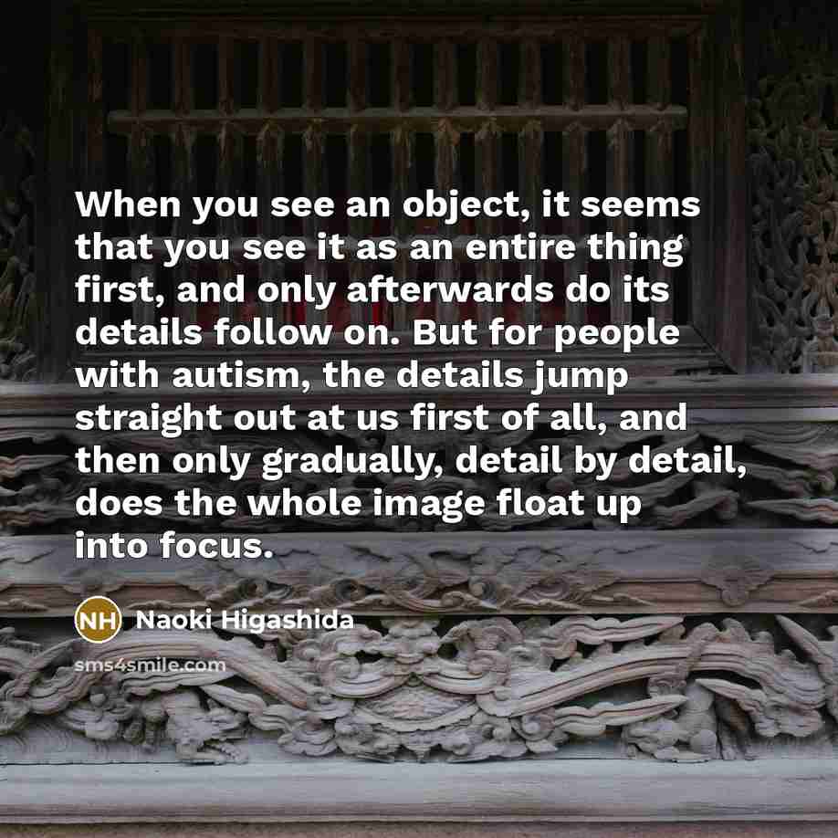 “When you see an object, it seems that you see…” quote by Naoki Higashida