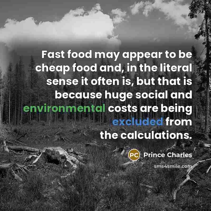 “Fast food may appear to be cheap food and, in…” quote by Prince Charles