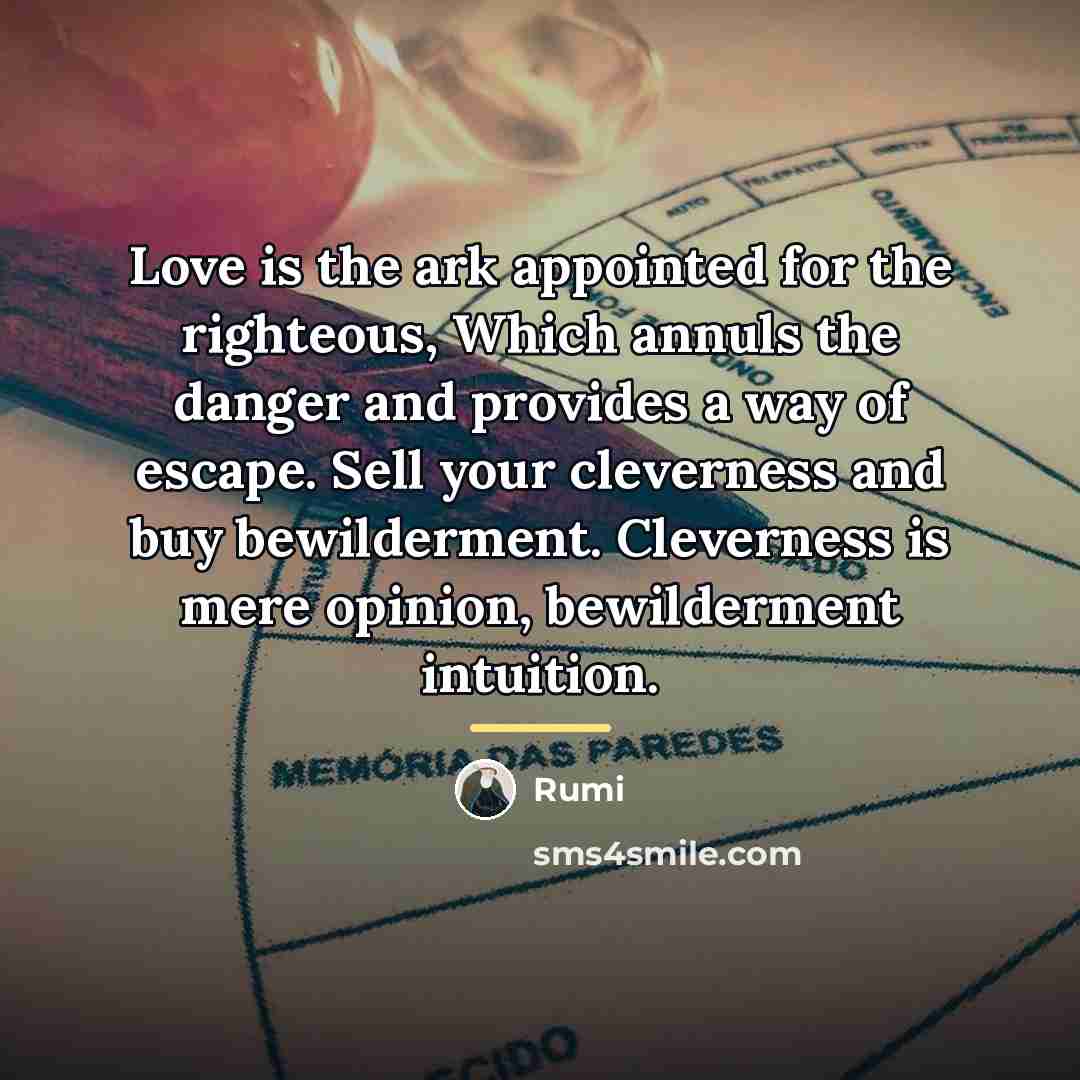 “Love is the ark appointed for the righteous, Which annuls…” quote by Rumi