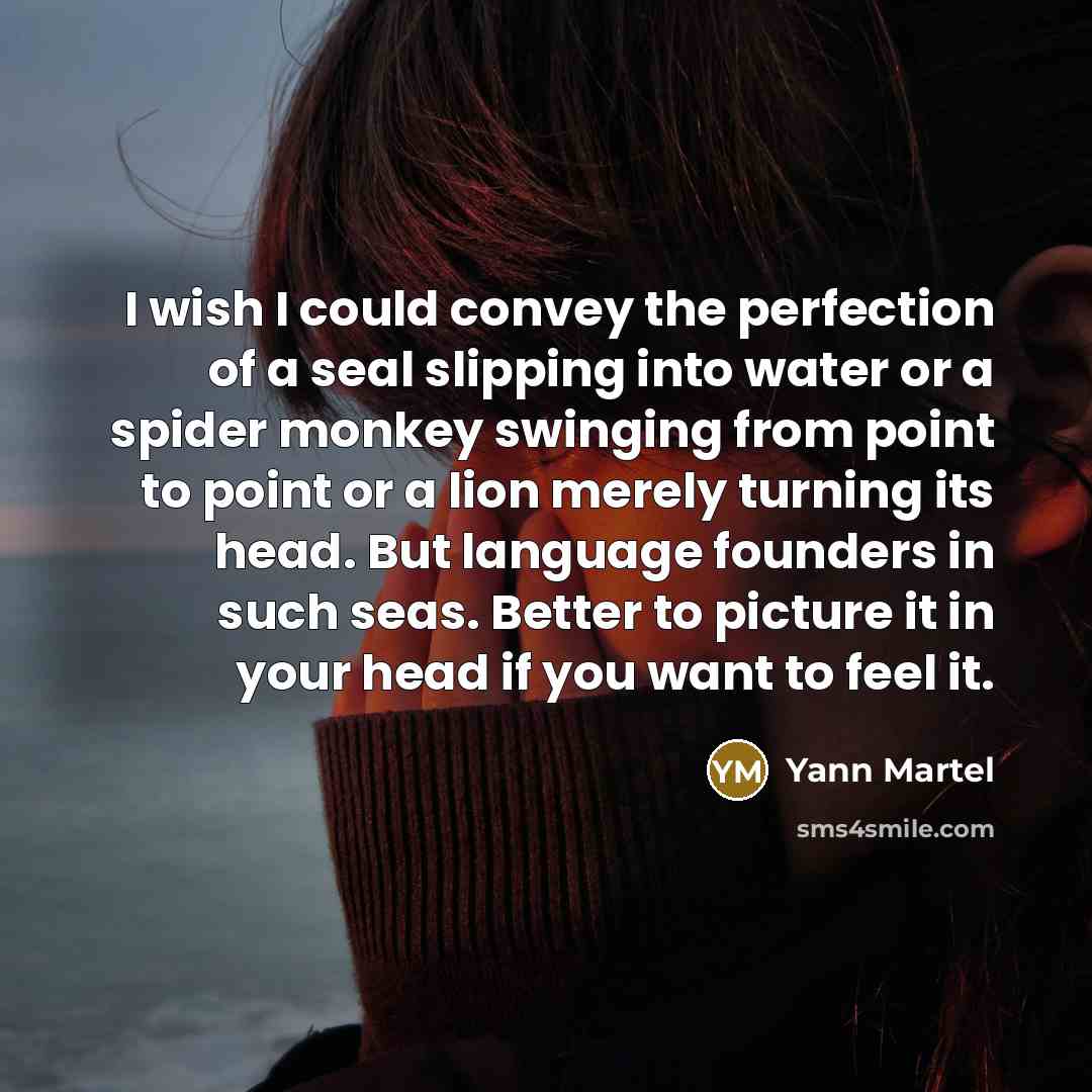 “I wish I could convey the perfection of a seal…” quote by Yann Martel
