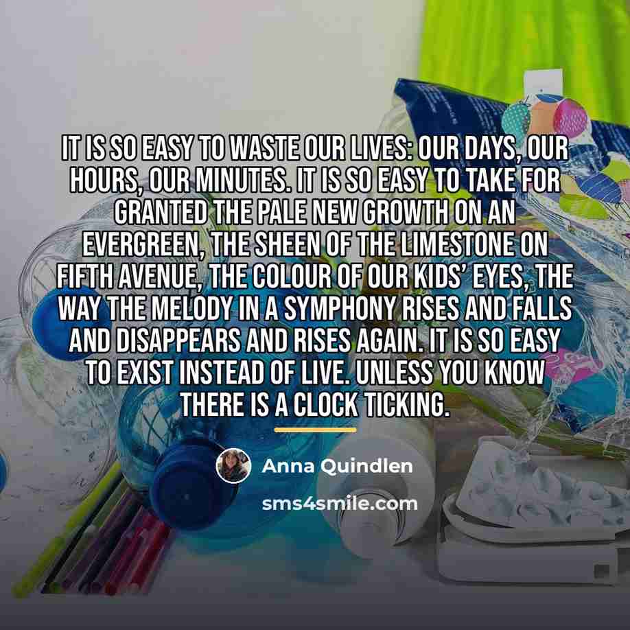 “It is so easy to waste our lives: our days,…” quote by Anna Quindlen
