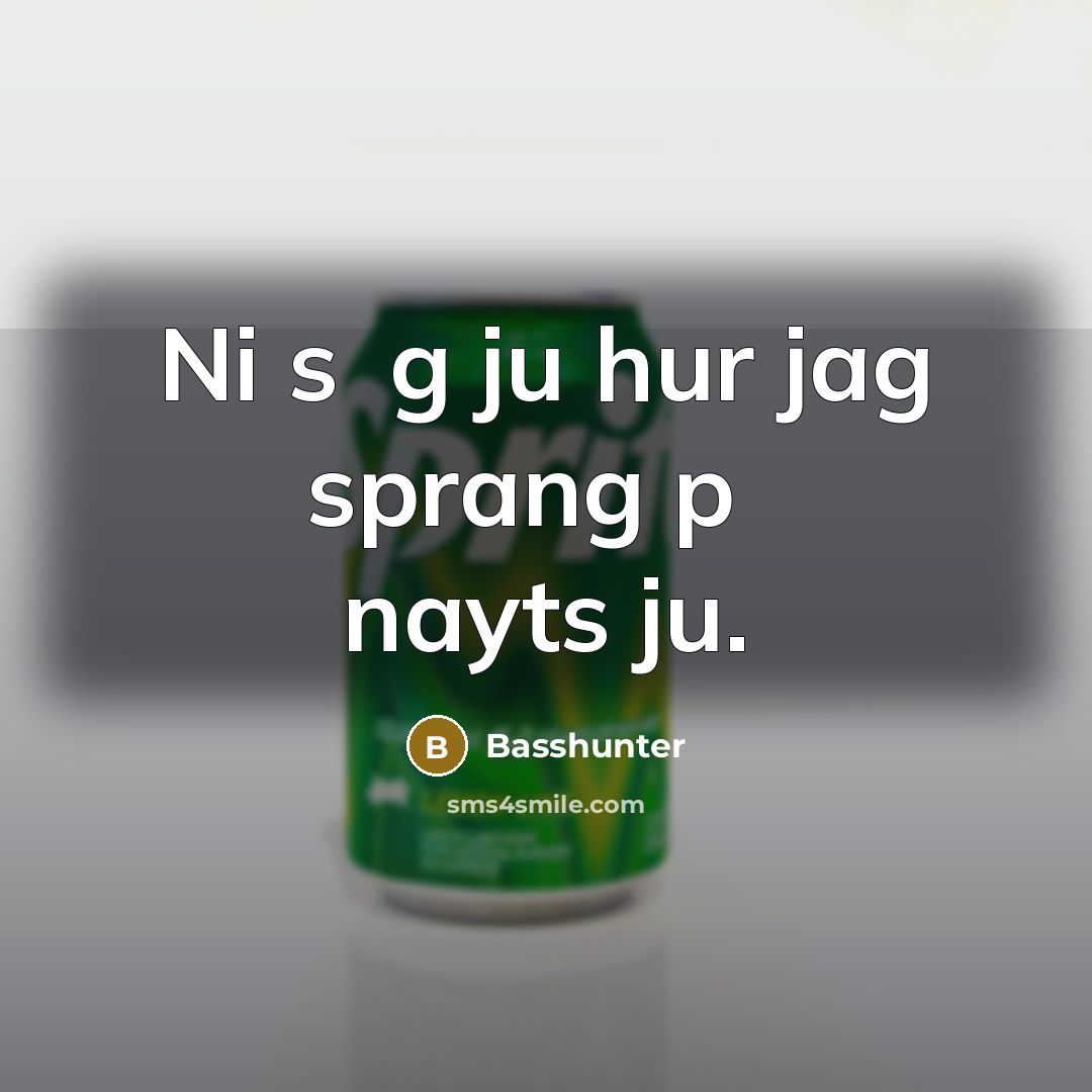 “Ni s�g ju hur jag sprang p� nayts ju.” quote by Basshunter