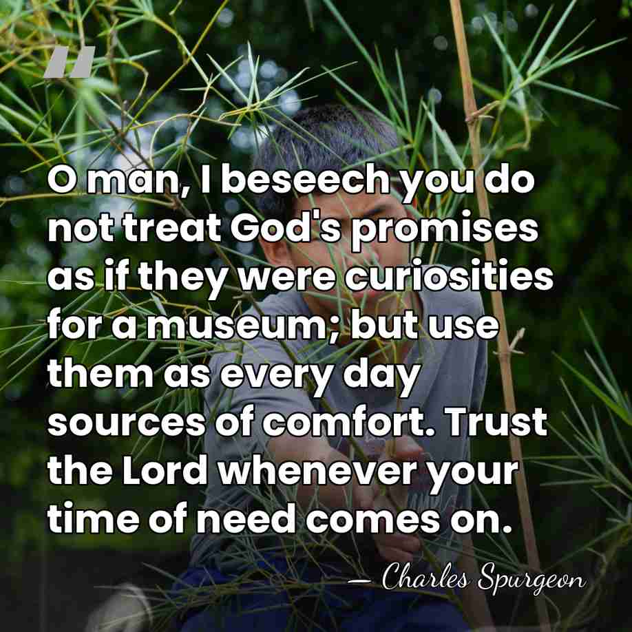 O man, I beseech you do not treat God's promises as if&hellip; - Charles Spurgeon