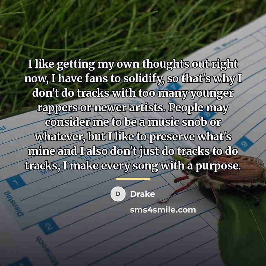 “I like getting my own thoughts out right now, I…” quote by Drake