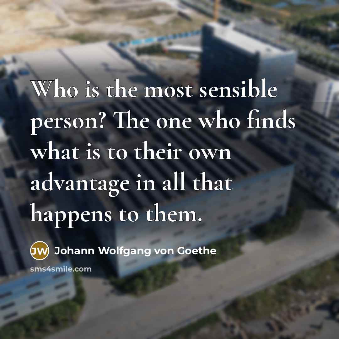 “Who is the most sensible person? The one who finds…” quote by Johann Wolfgang von Goethe