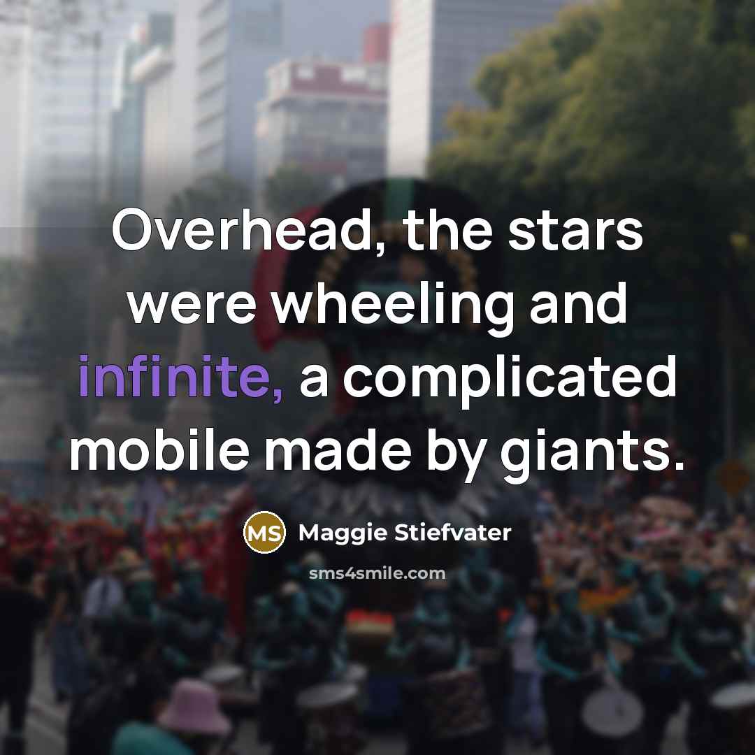 “Overhead, the stars were wheeling and infinite, a complicated mobile…” quote by Maggie Stiefvater