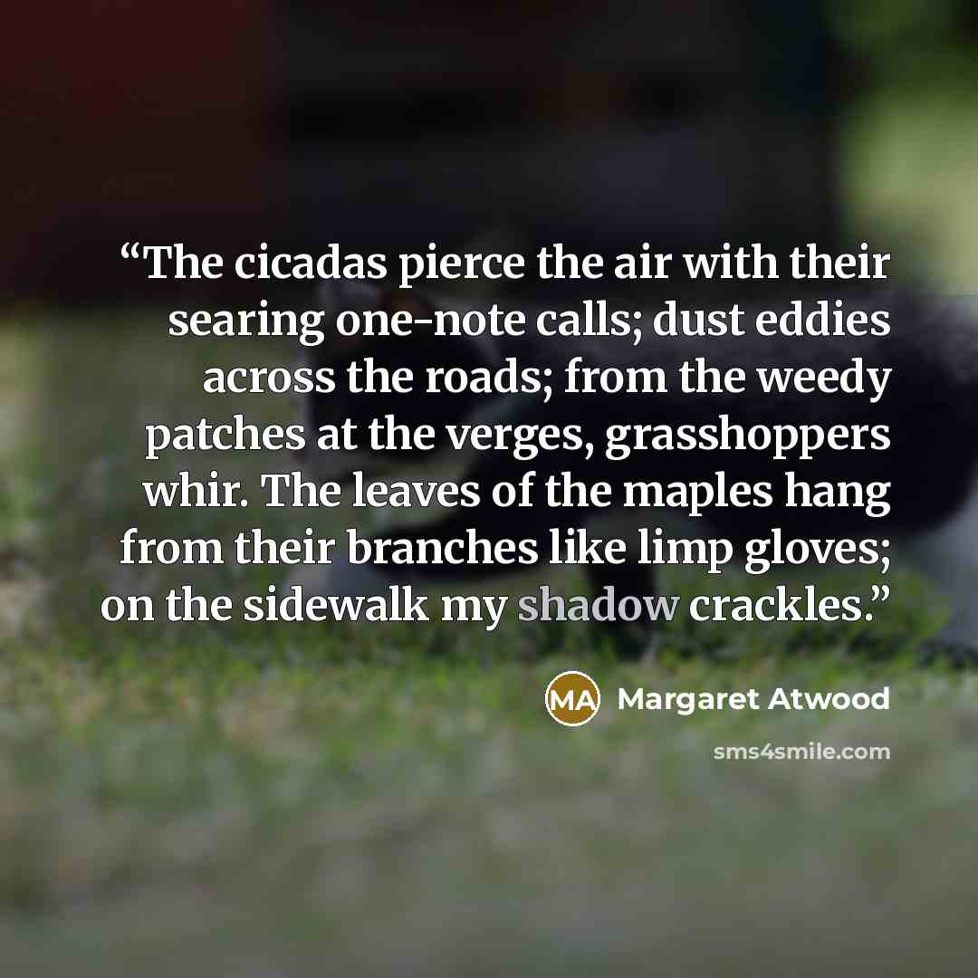 “The cicadas pierce the air with their searing one-note calls; dust eddies across the roads; from the weedy patches at the verges, grasshoppers whir. The leaves of the maples hang from their branches like limp gloves; on the sidewalk my shadow crackles.” quote by Margaret Atwood