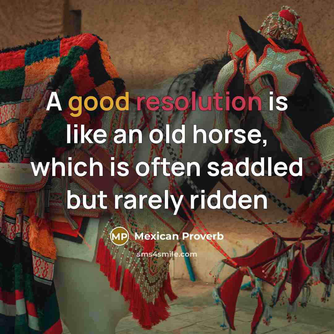 “A good resolution is like an old horse, which is…” quote by Mexican Proverb