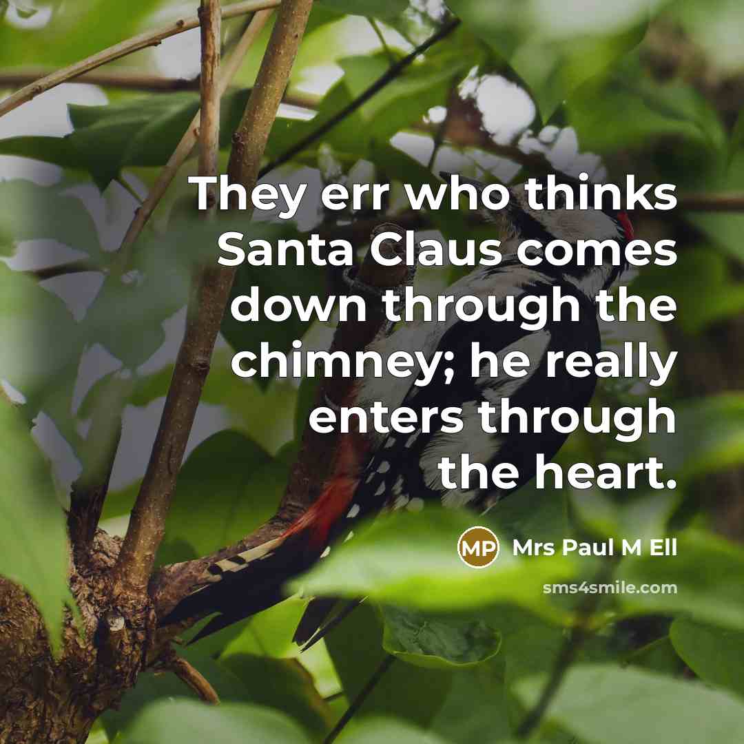 “They err who thinks Santa Claus comes down through the chimney; he really enters through the heart.” quote by Mrs Paul M Ell