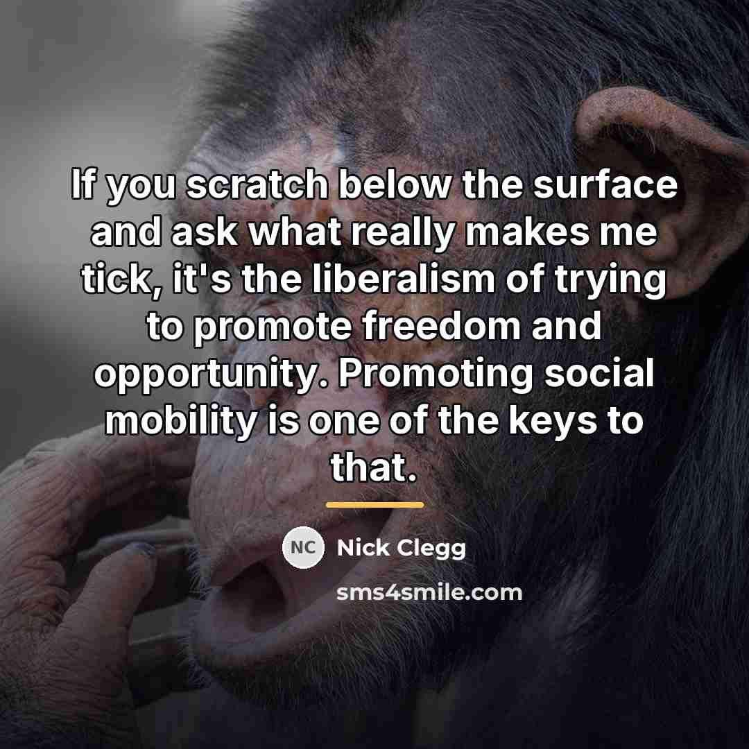 “If you scratch below the surface and ask what really…” quote by Nick Clegg