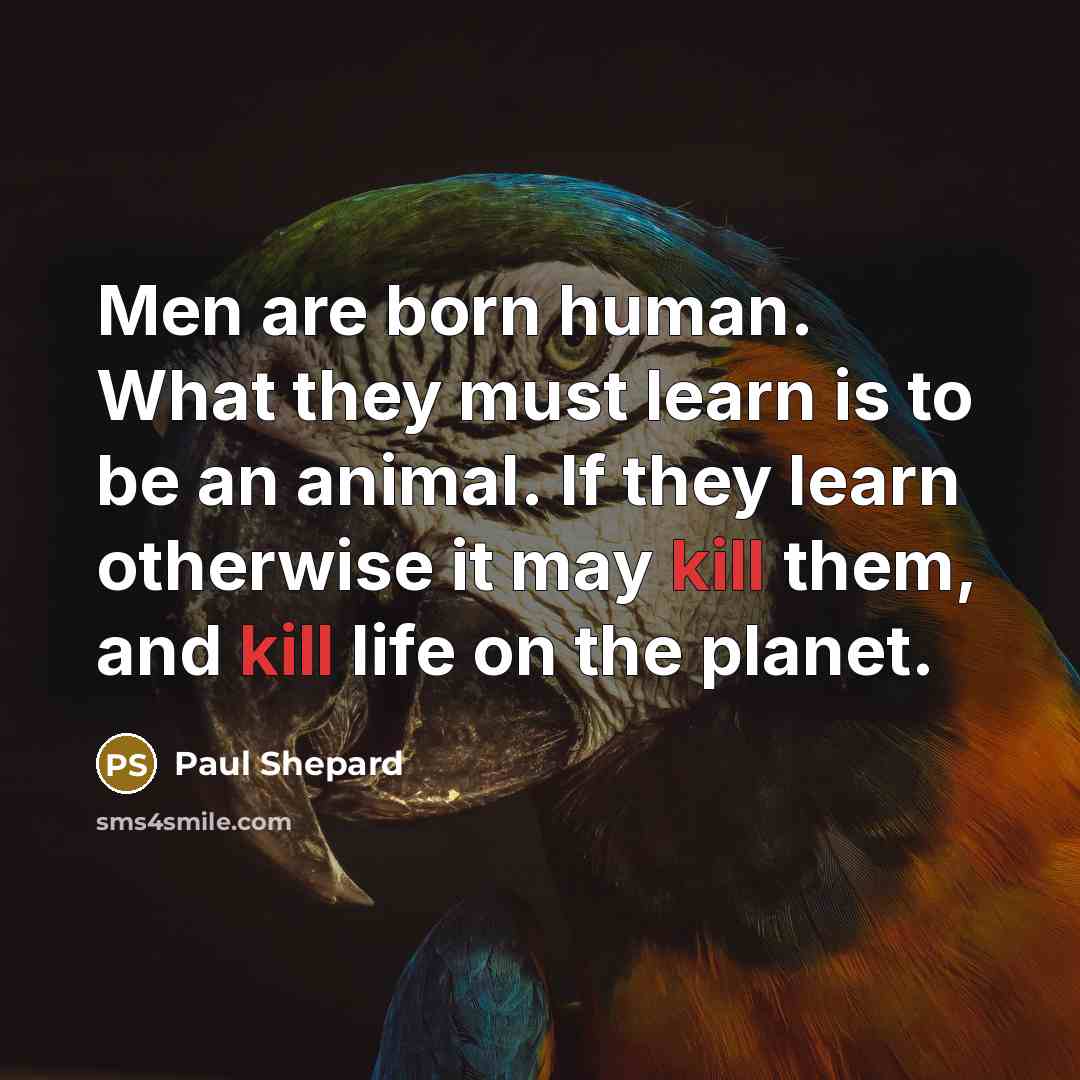 “Men are born human. What they must learn is to…” quote by Paul Shepard