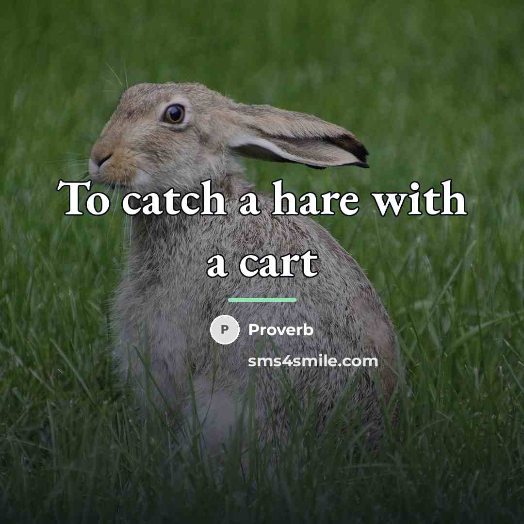“To catch a hare with a cart…” quote by Proverb