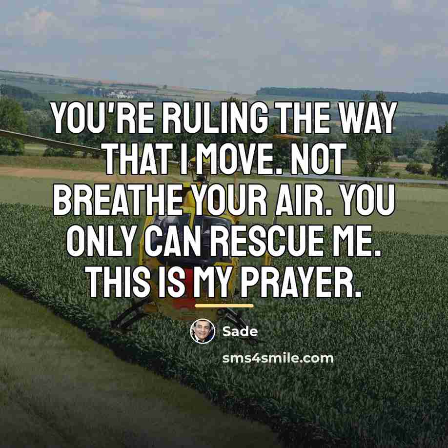 “You're ruling the way that I move. Not breathe your…” quote by Sade