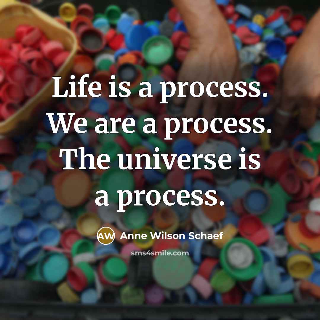 “Life is a process. We are a process. The universe…” quote by Anne Wilson Schaef