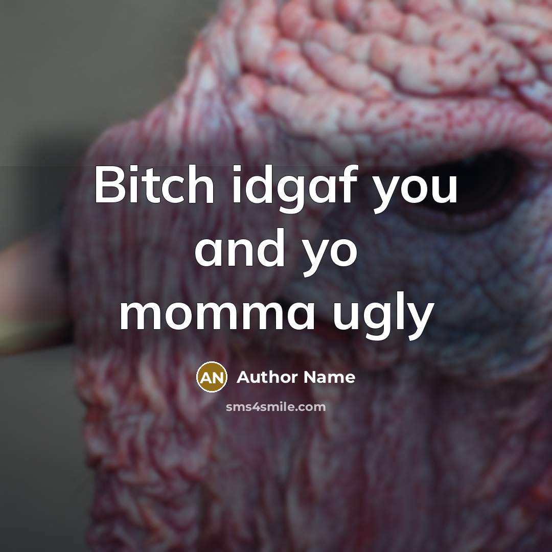 “Bitch idgaf you and yo momma ugly” quote by Author Name
