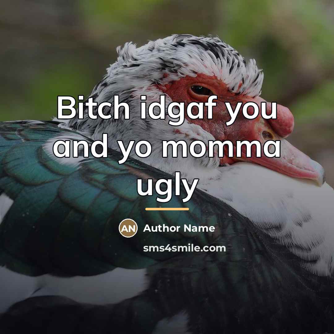 “Bitch idgaf you and yo momma ugly…” quote by Author Name
