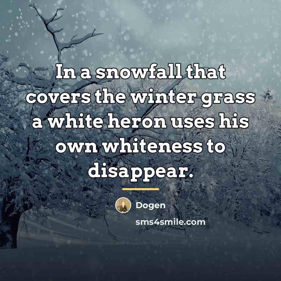 “In a snowfall that covers the winter grass a white…” quote by Dogen