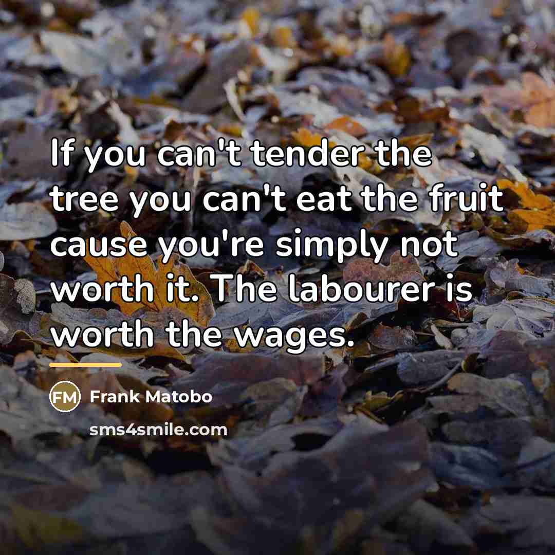 “If you can't tender the tree you can't eat the…” quote by Frank Matobo