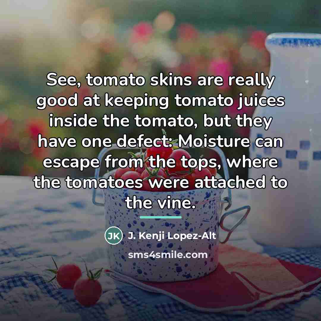 “See, tomato skins are really good at keeping tomato juices…” quote by J. Kenji Lopez-Alt