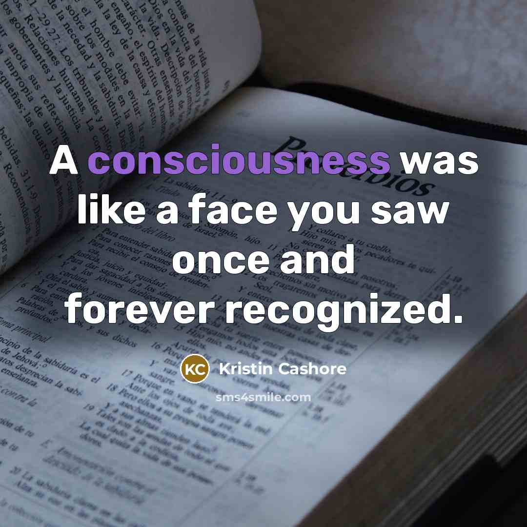 “A consciousness was like a face you saw once and…” quote by Kristin Cashore