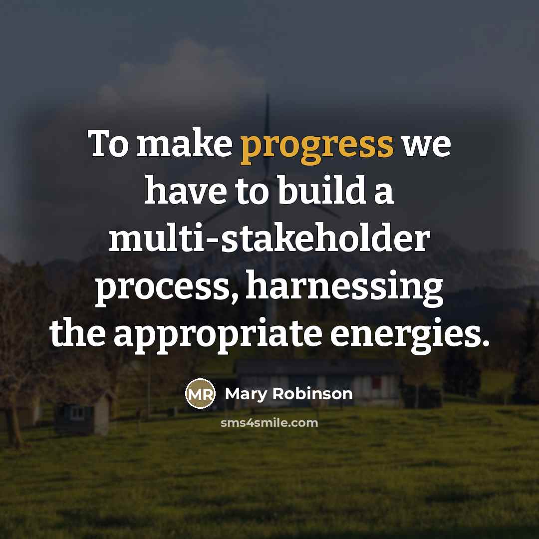 “To make progress we have to build a multi-stakeholder process,…” quote by Mary Robinson