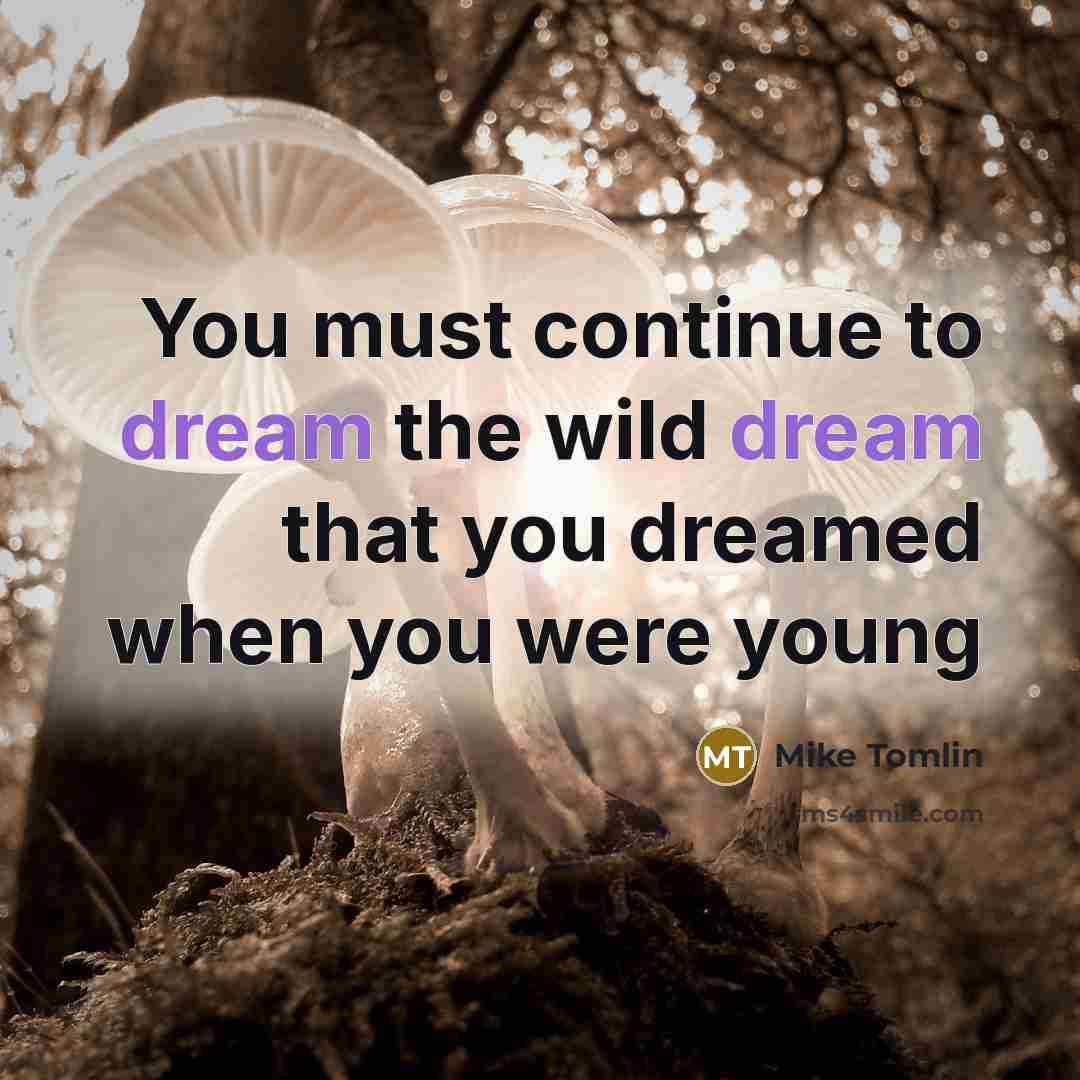 “You must continue to dream the wild dream that you…” quote by Mike Tomlin