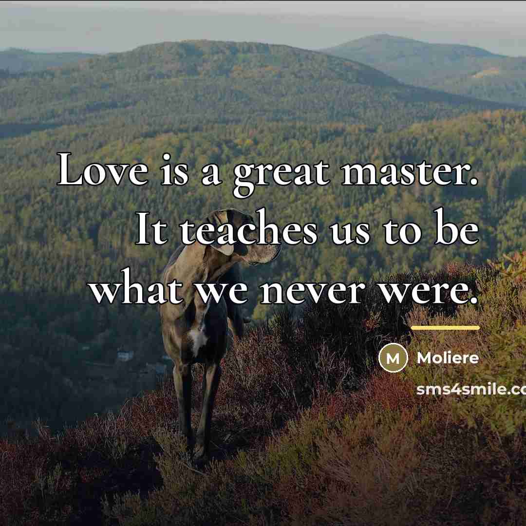 “Love is a great master. It teaches us to be…” quote by Moliere