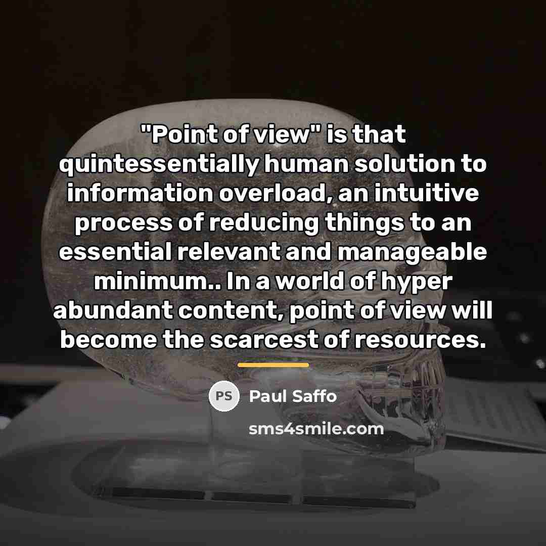 “"Point of view" is that quintessentially human solution to information…” quote by Paul Saffo