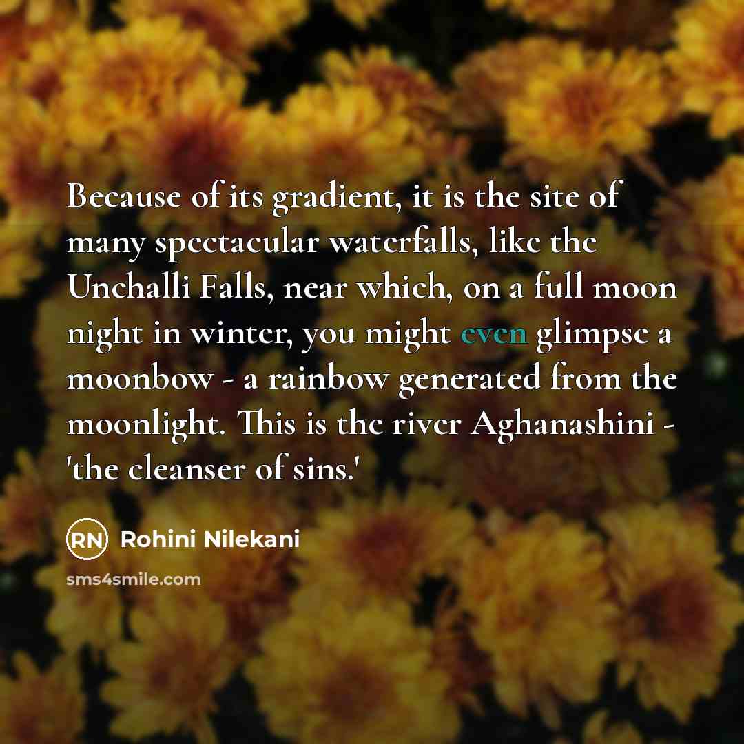 “Because of its gradient, it is the site of many…” quote by Rohini Nilekani