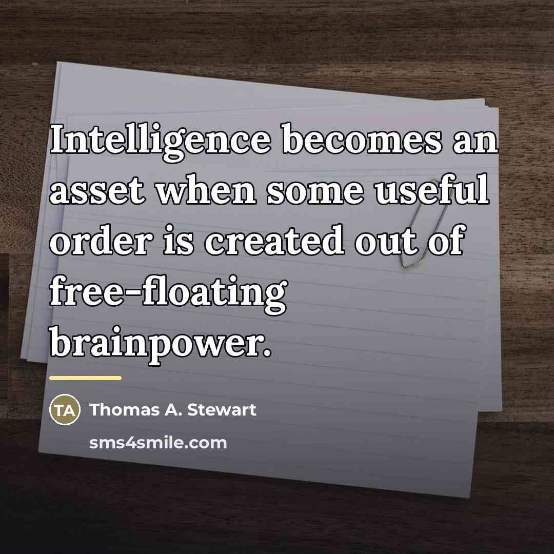 “Intelligence becomes an asset when some useful order is created…” quote by Thomas A. Stewart