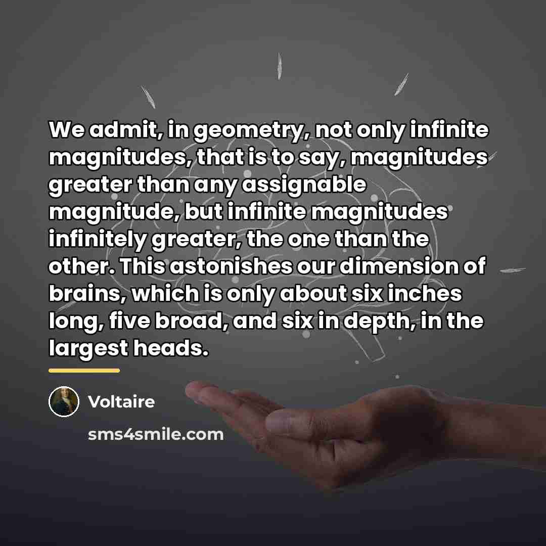 “We admit, in geometry, not only infinite magnitudes, that is…” quote by Voltaire