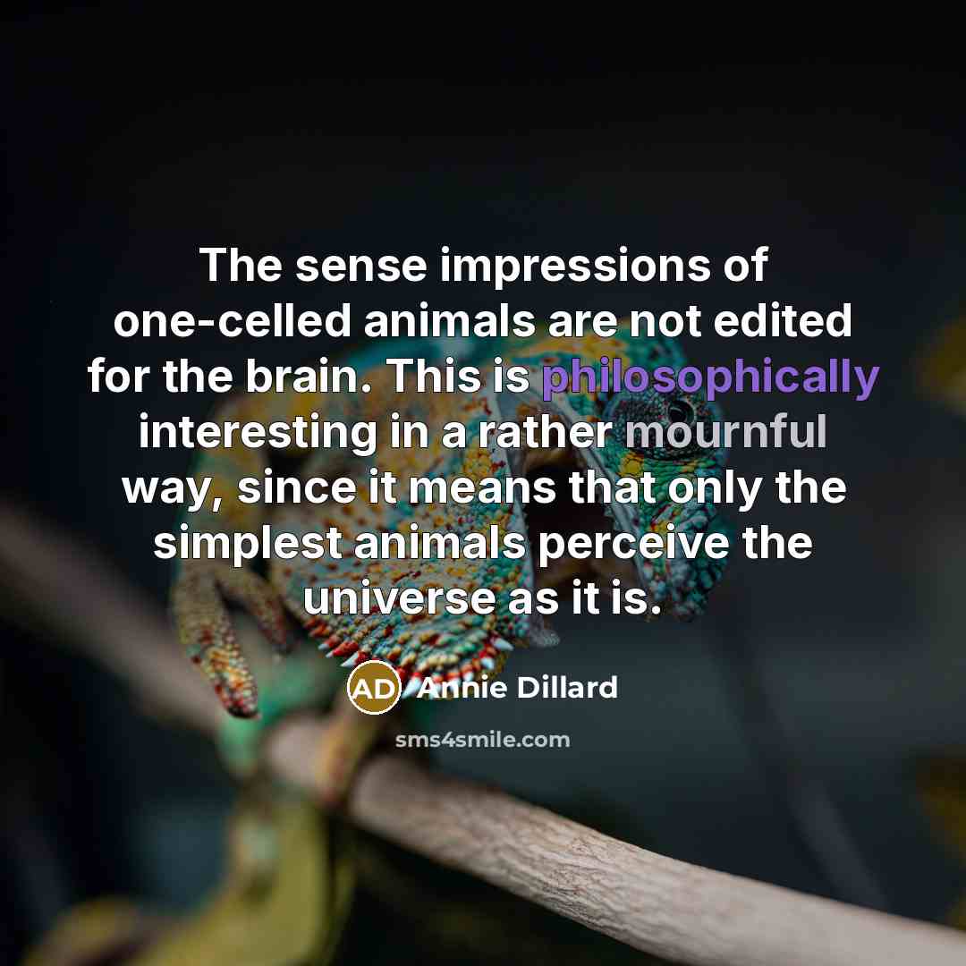 “The sense impressions of one-celled animals are not edited for…” quote by Annie Dillard