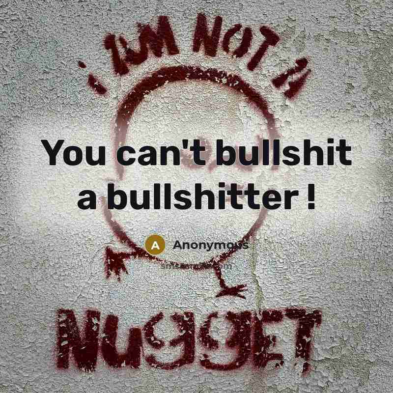 “You can't bullshit a bullshitter !…” quote by Anonymous
