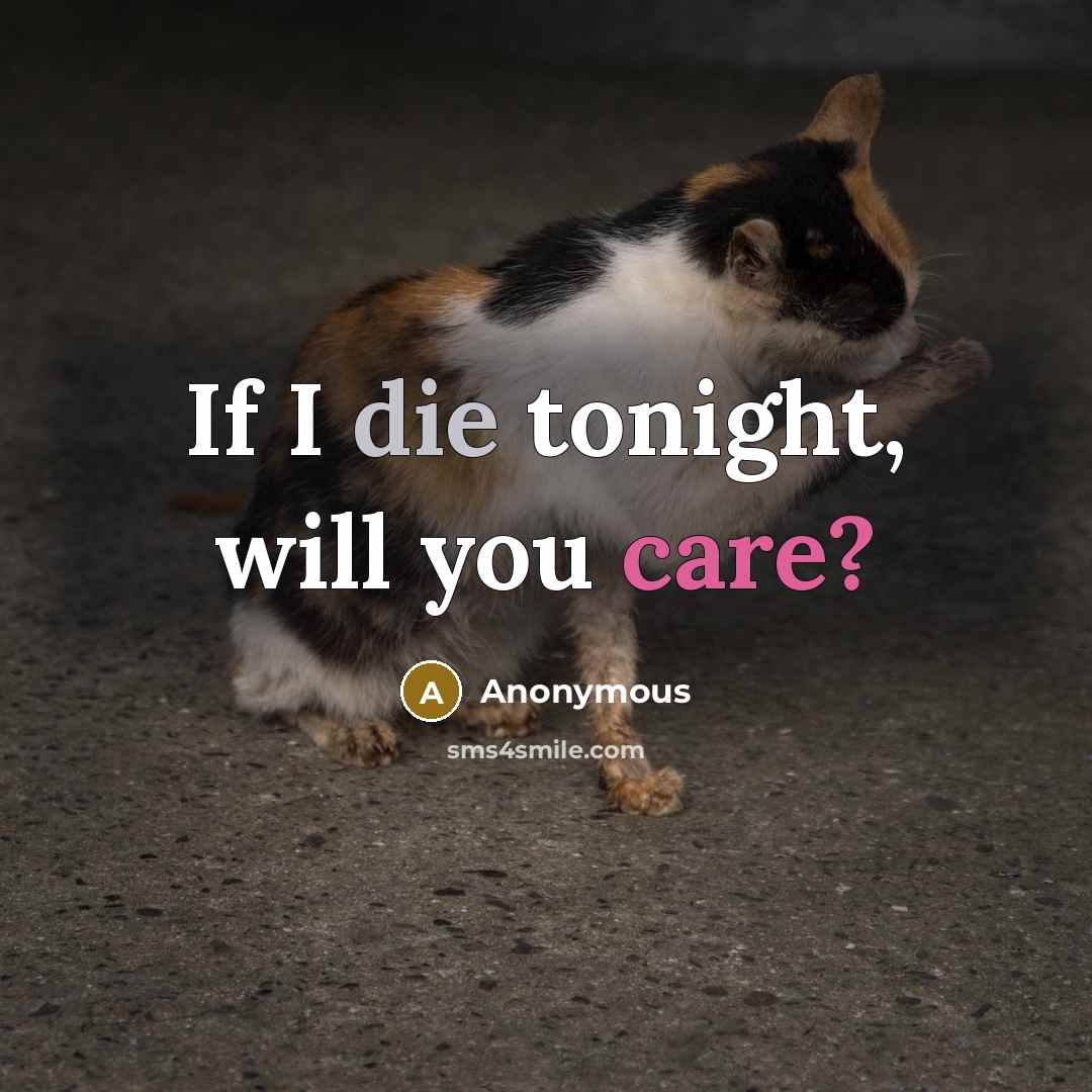 “If I die tonight, will you care?” quote by Anonymous