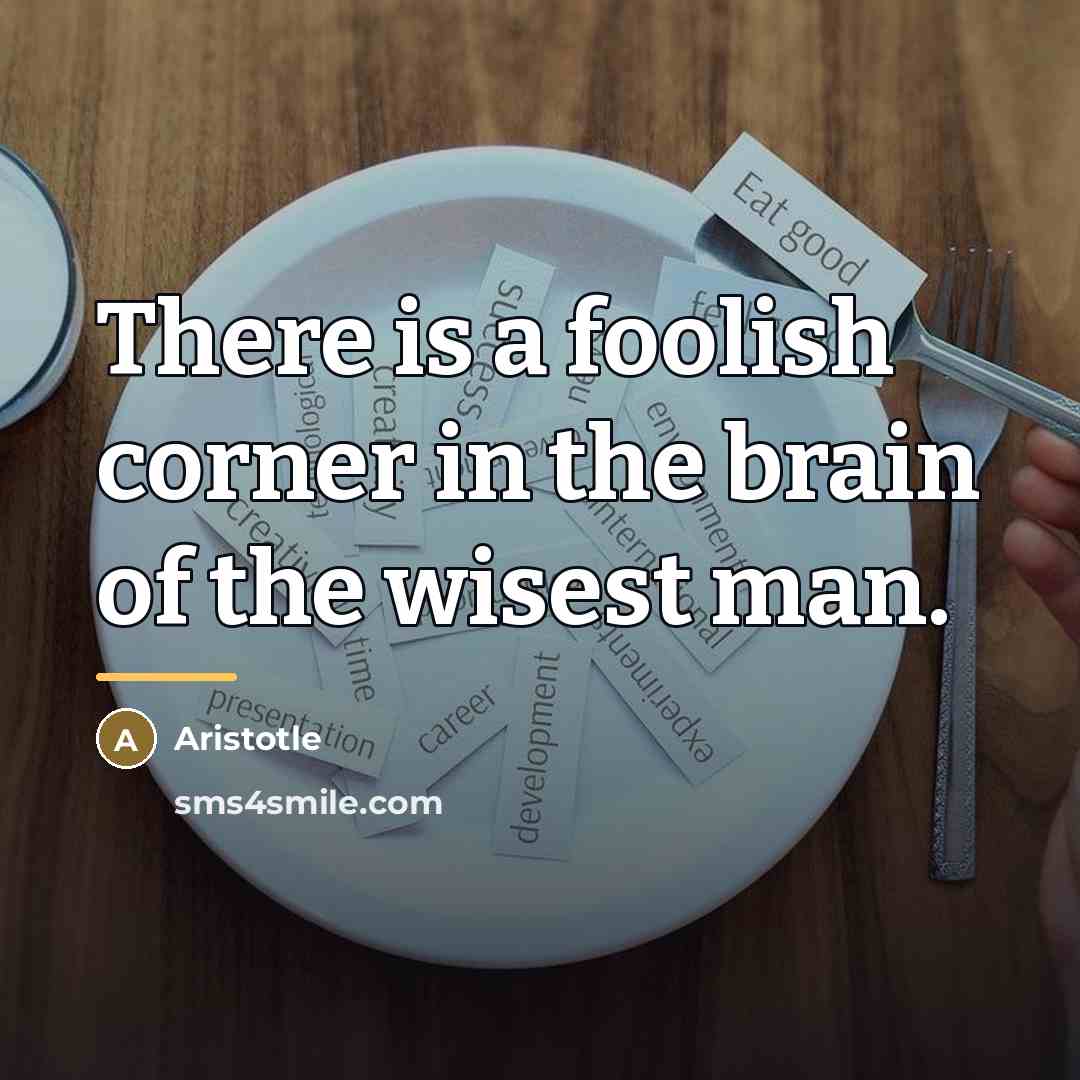 “There is a foolish corner in the brain of the…” quote by Aristotle