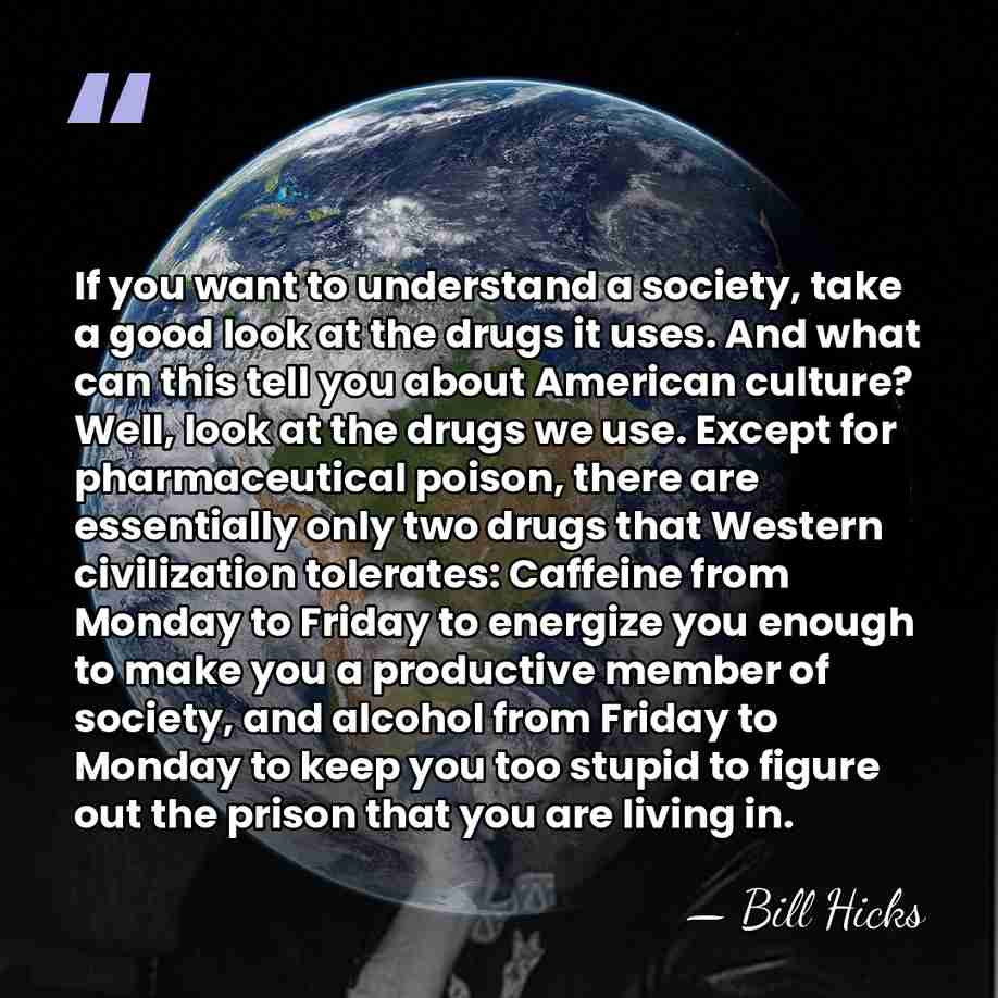 If you want to understand a society, take a good look at&hellip; - Bill Hicks
