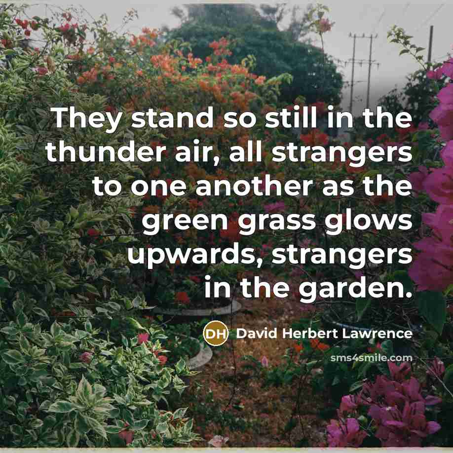 “They stand so still in the thunder air, all strangers…” quote by David Herbert Lawrence