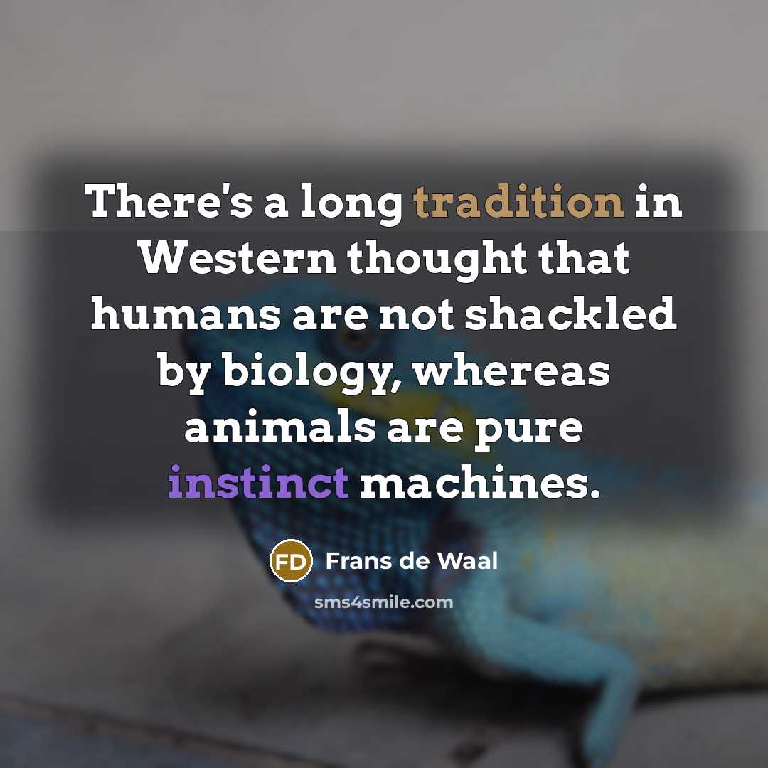 “There's a long tradition in Western thought that humans are not shackled by biology, whereas animals are pure instinct machines.” quote by Frans de Waal