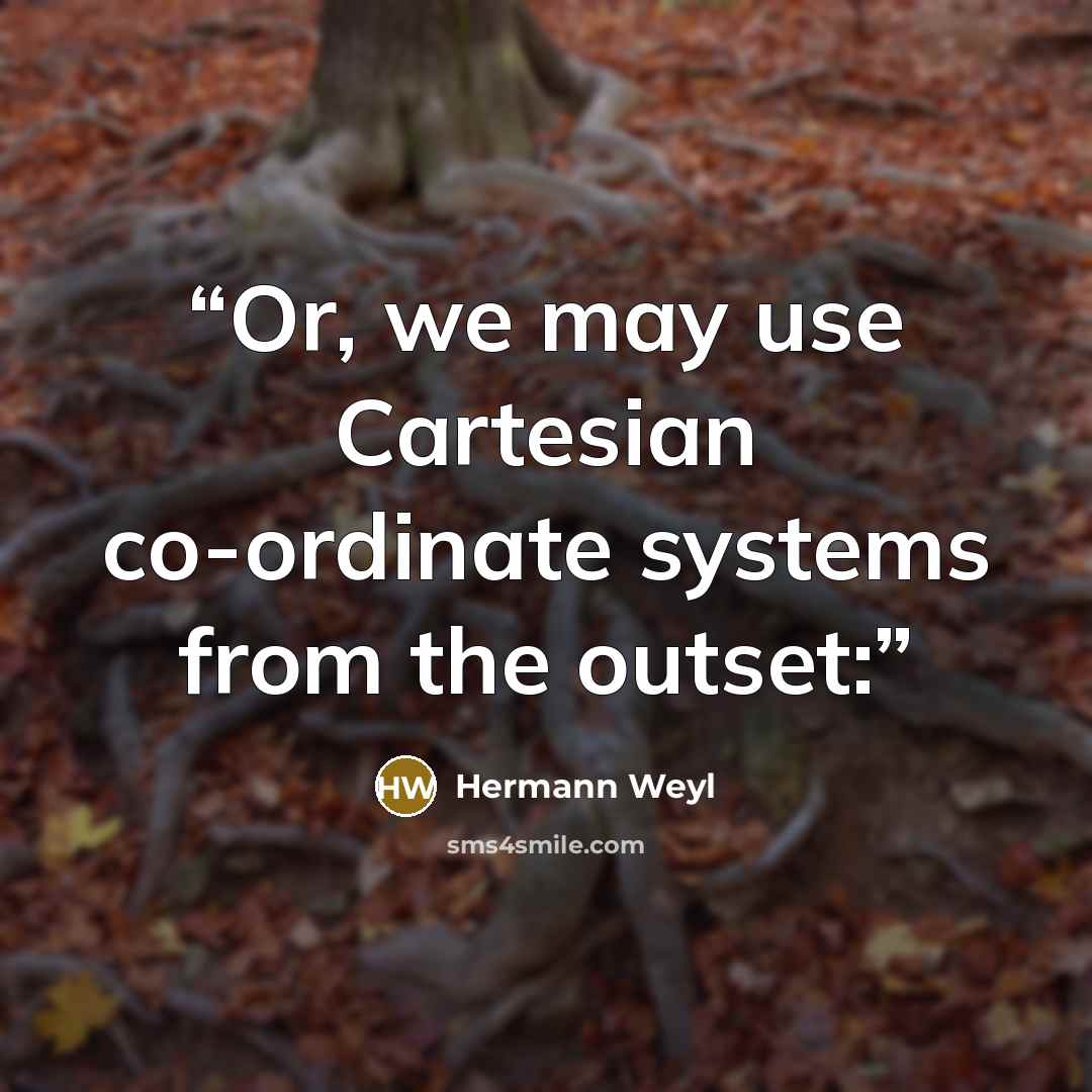 “Or, we may use Cartesian co-ordinate systems from the outset:” quote by Hermann Weyl