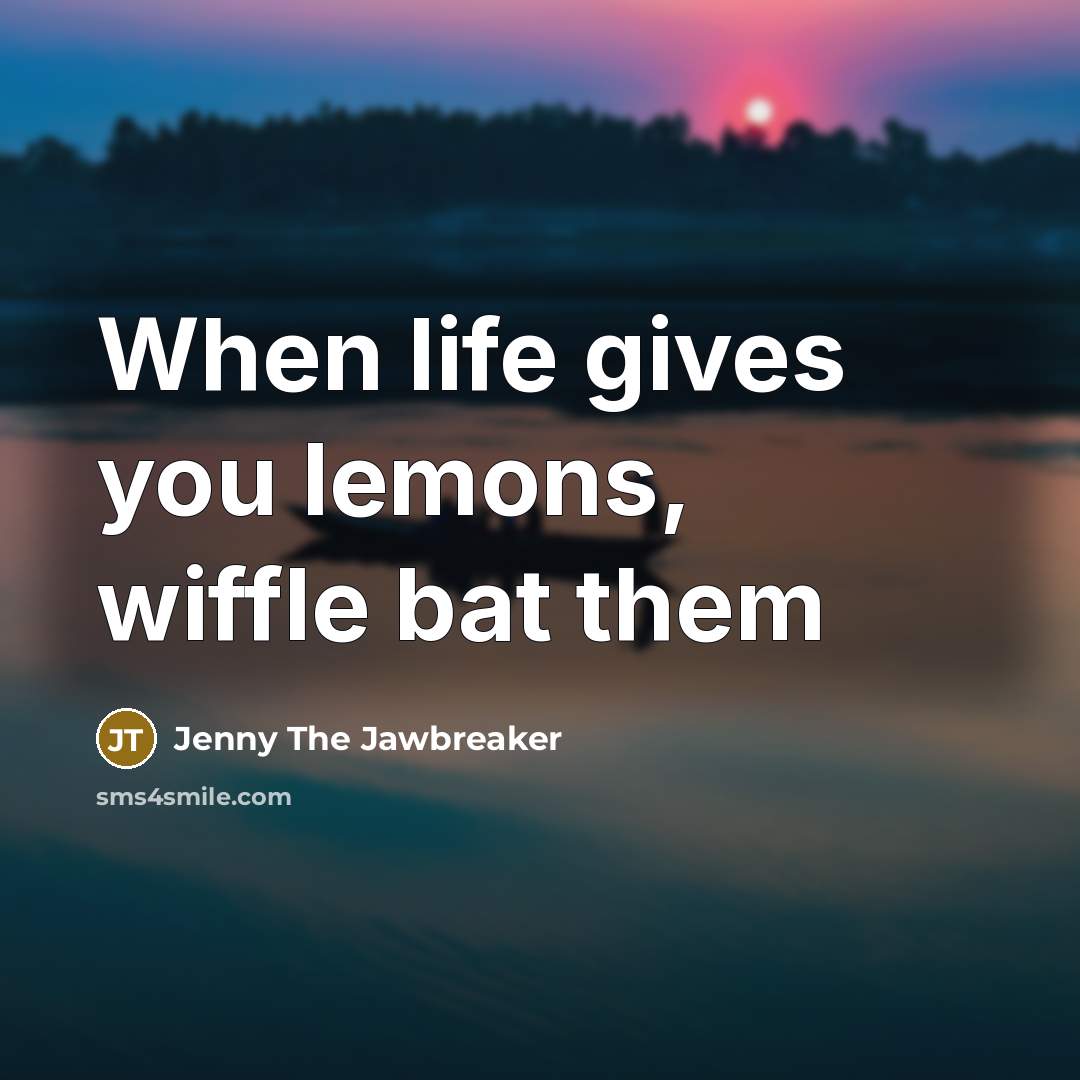 “When life gives you lemons, wiffle bat them…” quote by Jenny The Jawbreaker