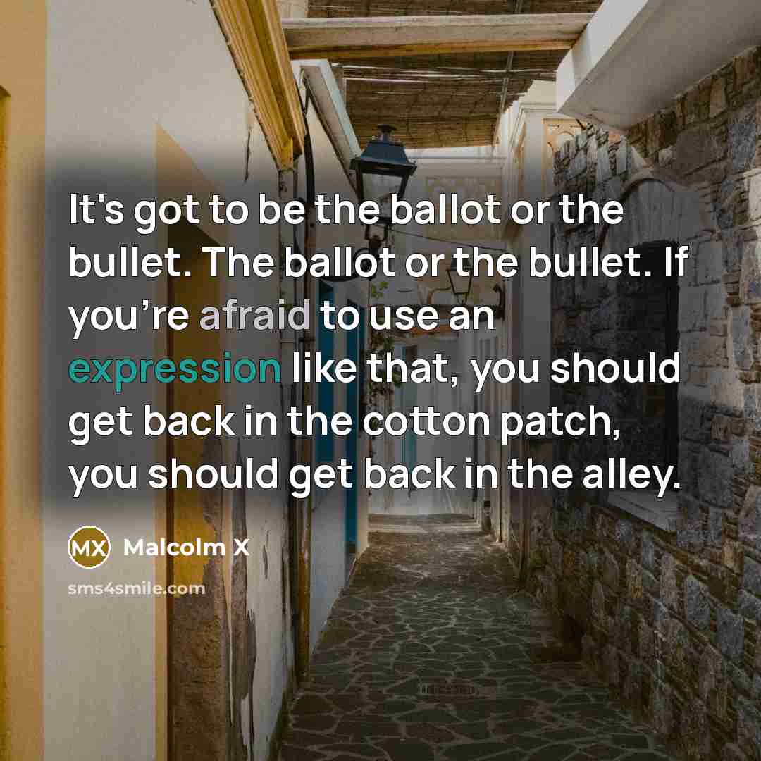 “It's got to be the ballot or the bullet. The…” quote by Malcolm X