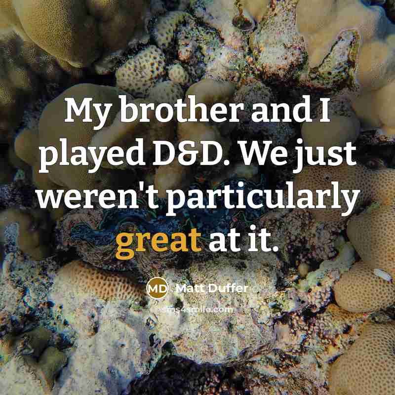 “My brother and I played D&D. We just weren't particularly…” quote by Matt Duffer