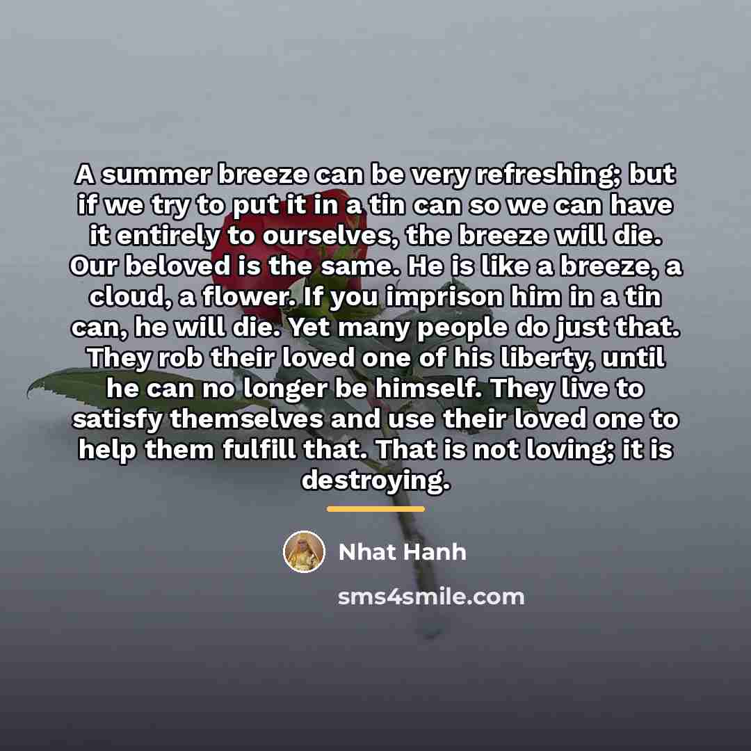 “A summer breeze can be very refreshing; but if we…” quote by Nhat Hanh
