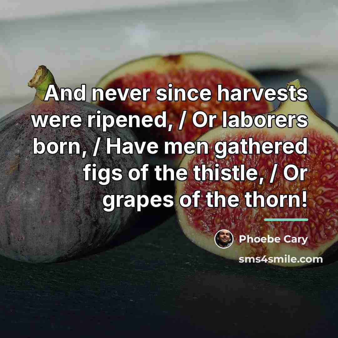 “And never since harvests were ripened, / Or laborers born,…” quote by Phoebe Cary