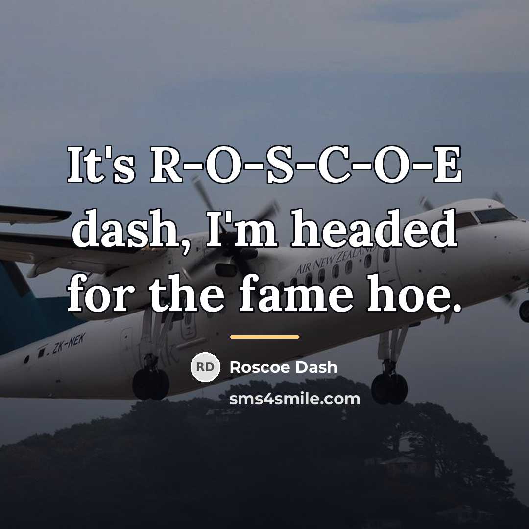 “It's R-O-S-C-O-E dash, I'm headed for the fame hoe.…” quote by Roscoe Dash