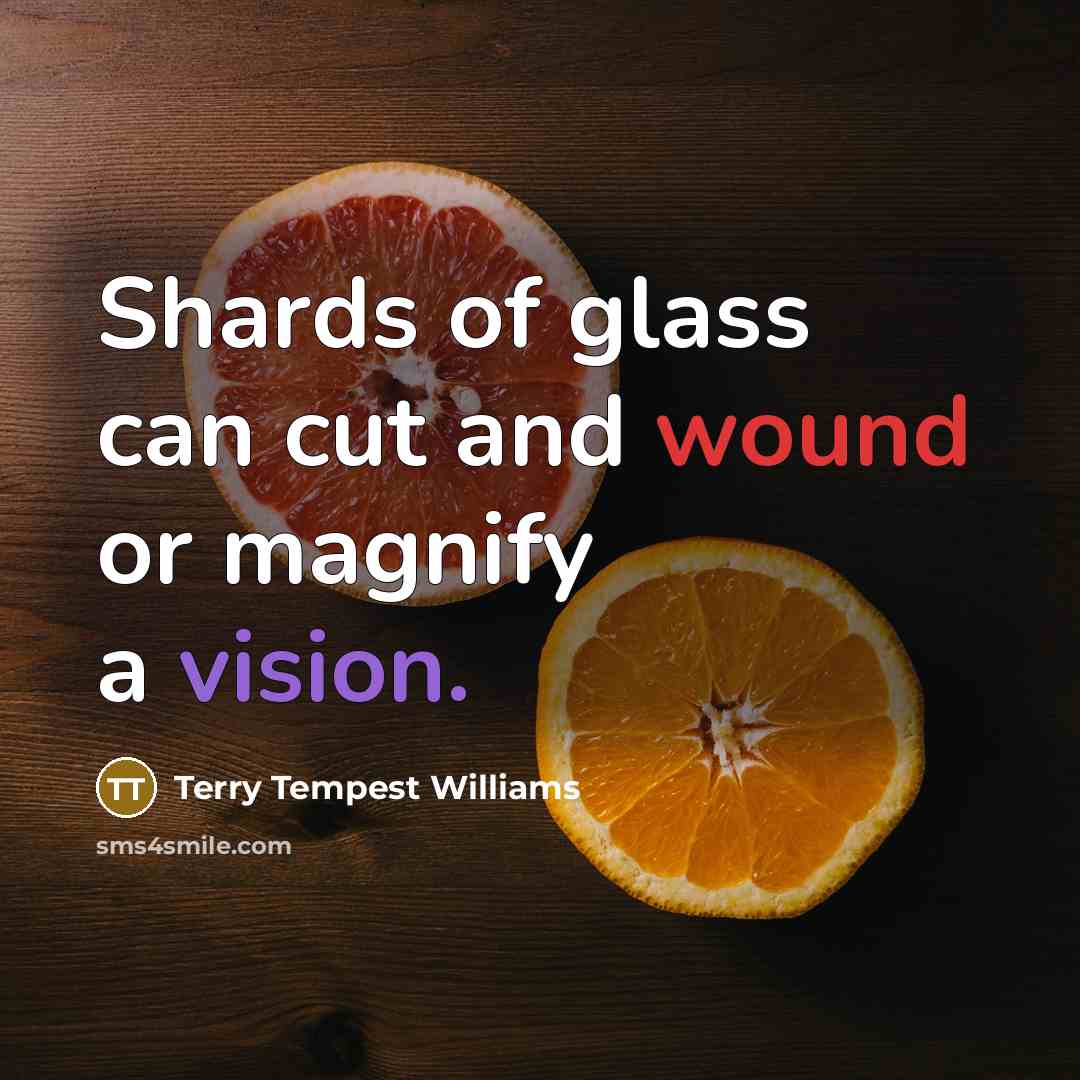 “Shards of glass can cut and wound or magnify a…” quote by Terry Tempest Williams