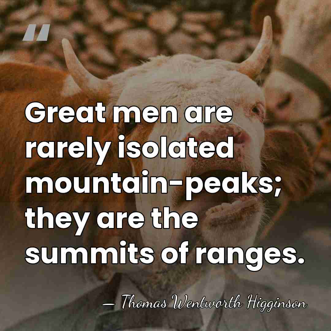 Great men are rarely isolated mountain-peaks; they are the summits of ranges. - Thomas Wentworth Higginson