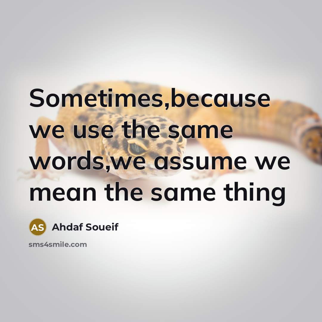 “Sometimes,because we use the same words,we assume we mean the same thing” quote by Ahdaf Soueif